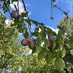 Jann Hinsch Hof 3* Winsen
