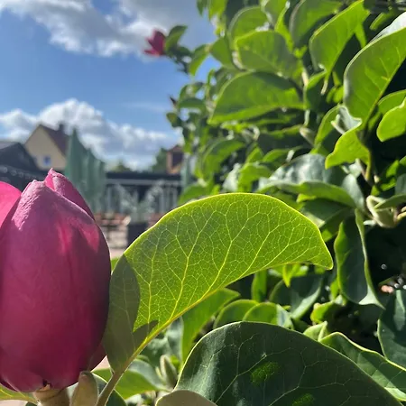 Szálloda Jann Hinsch Hof 3*