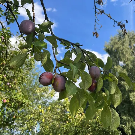Jann Hinsch Hof 3* Winsen