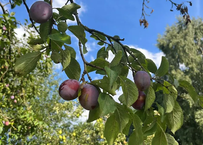 Jann Hinsch Hof 3* Winsen